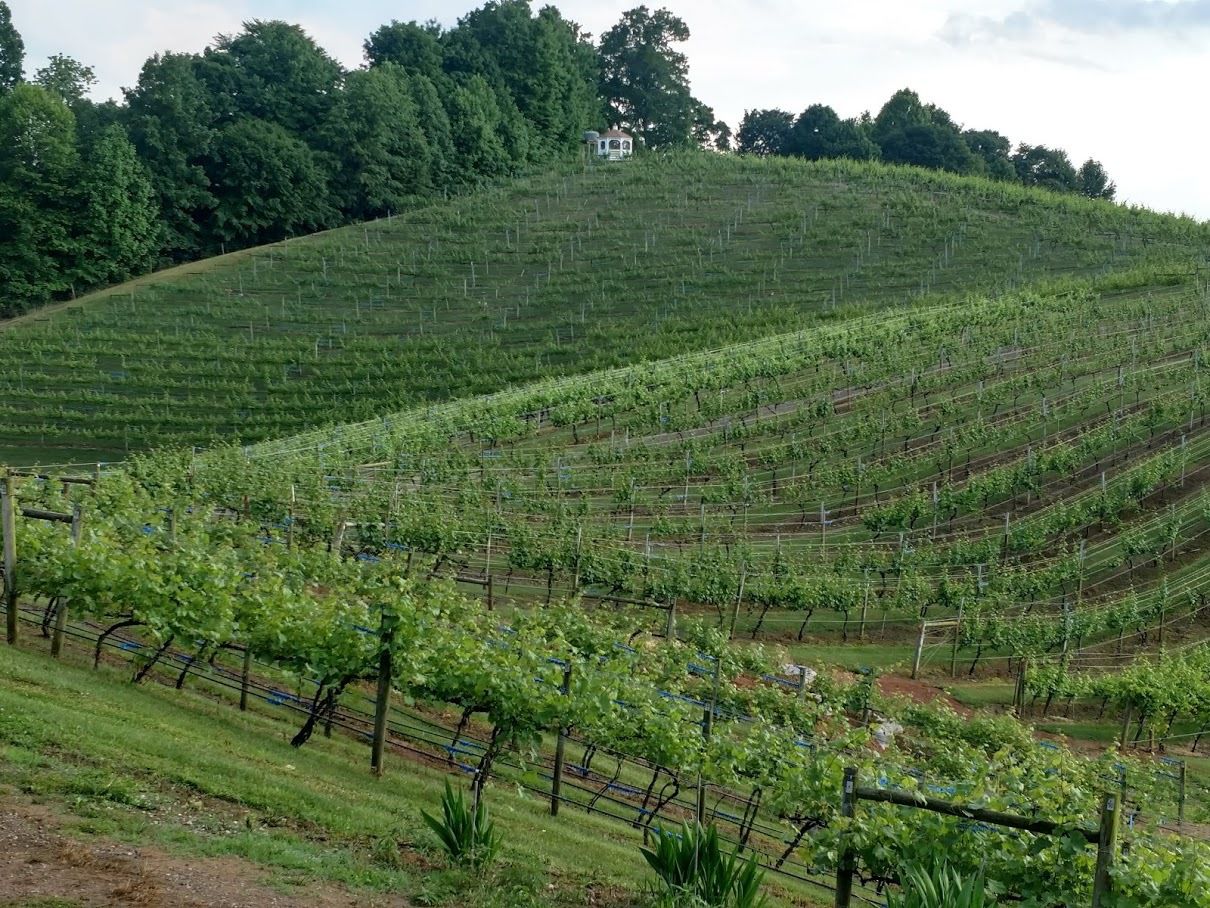 WINERY8 - contributed -